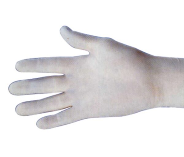 Gloves, Vinyl, Powder Free, Large