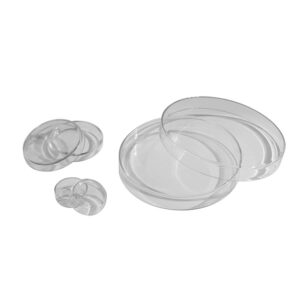 Petri Dish, pyrex glass, 150 x 30mm
