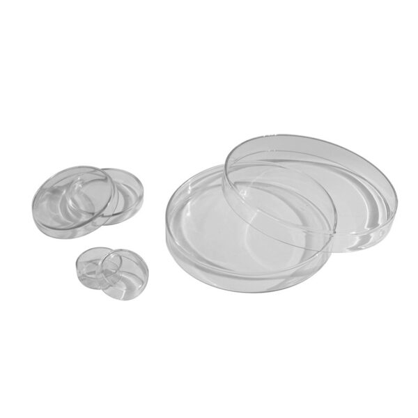 Petri Dish, glass, 100x12mm (not pyrex)