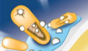 PTS Features Antimicrobial Coating min
